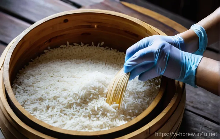 홈메이드 청주 만들기 - A Vietnamese artisan meticulously selecting glutinous rice.**
"A close-up, high-definition photograp...